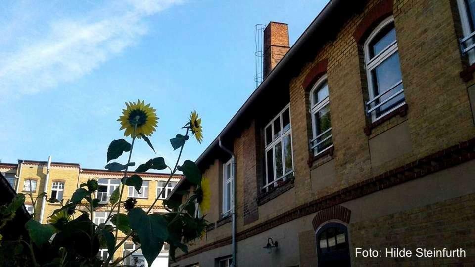 Klassmo Kulturcafe&Gaestehaus Mit Kulturwerkstatt Luckenwalde Eksteriør billede